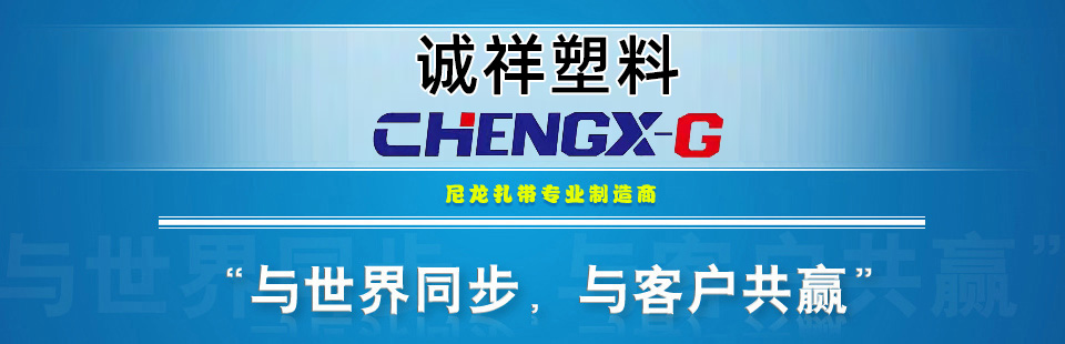 塑料扎帶丨塑料扎帶專業(yè)生產(chǎn)商